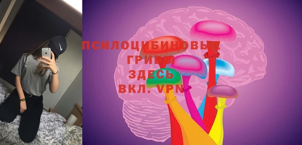 СК Покров