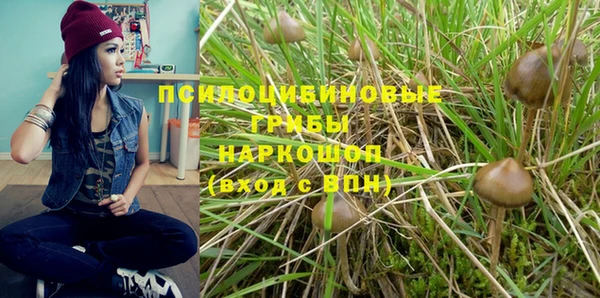 бошки Покачи