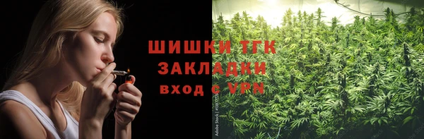стаф Пестово